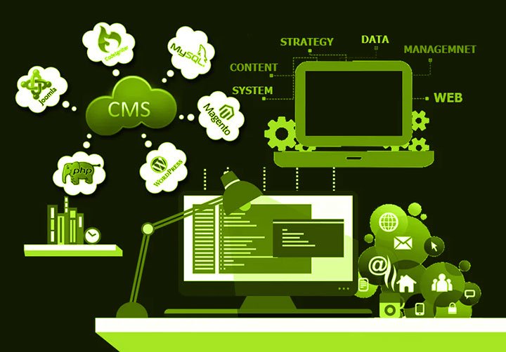 CMS-Integration-&-Plugin-Development